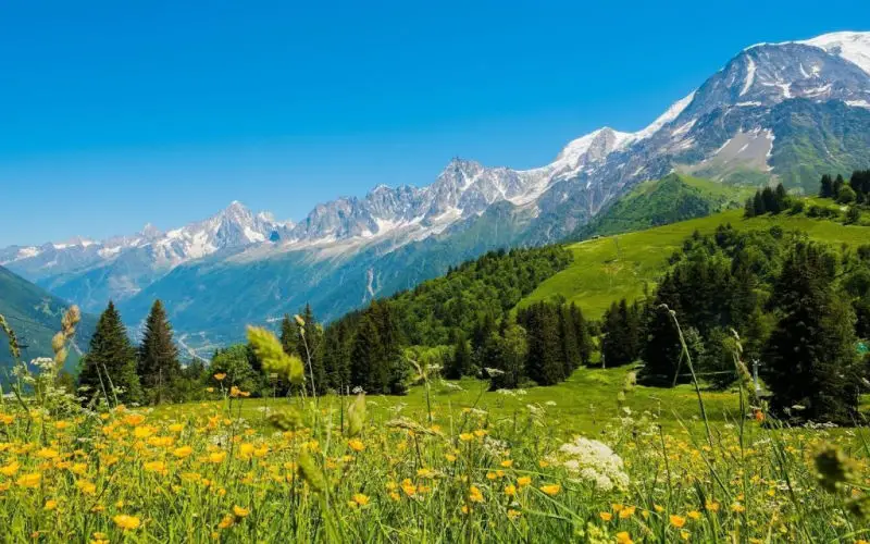 trek tour du mont blanc