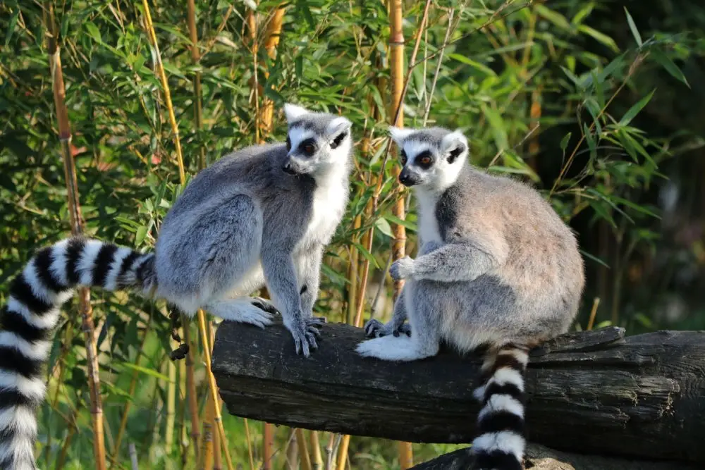 vacances Madagascar